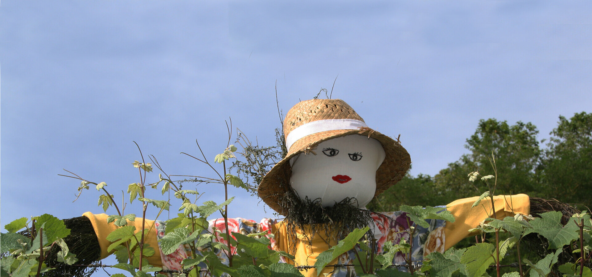 Bienvenue à Verneuil-en-Bourbonnais dans l'Allier 03