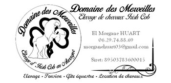 Elevage de chevaux : Le Domaine des Merveilles